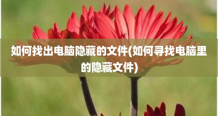 如何找出电脑隐藏的文件(如何寻找电脑里的隐藏文件)