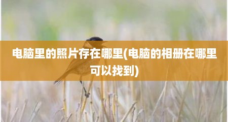 电脑里的照片存在哪里(电脑的相册在哪里可以找到)