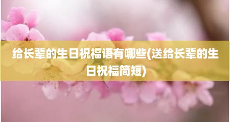 给长辈的生日祝福语有哪些(送给长辈的生日祝福简短)
