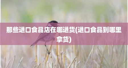 那些进口食品店在哪进货(进口食品到哪里拿货)