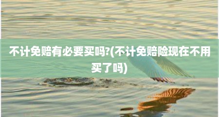 不计免赔有必要买吗?(不计免赔险现在不用买了吗)