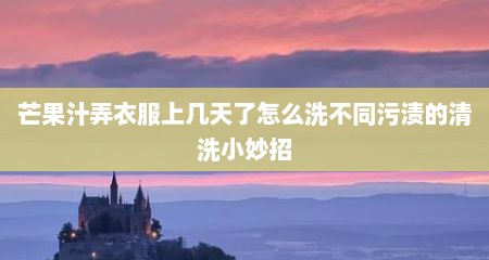 芒果汁弄衣服上几天了怎么洗不同污渍的清洗小妙招