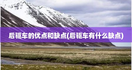 后驱车的优点和缺点(后驱车有什么缺点)