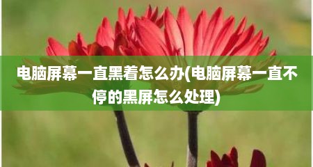 电脑屏幕一直黑着怎么办(电脑屏幕一直不停的黑屏怎么处理)