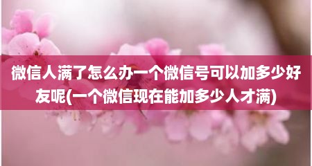 微信人满了怎么办一个微信号可以加多少好友呢(一个微信现在能加多少人才满)