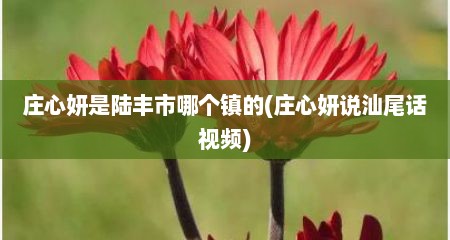 庄心妍是陆丰市哪个镇的(庄心妍说汕尾话视频)