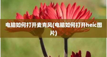 电脑如何打开麦克风(电脑如何打开heic图片)