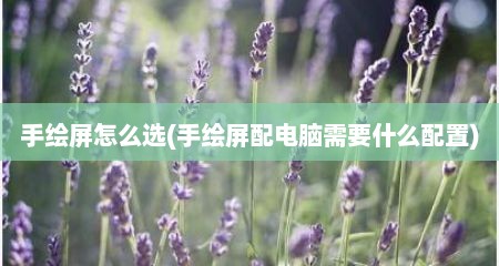 手绘屏怎么选(手绘屏配电脑需要什么配置)