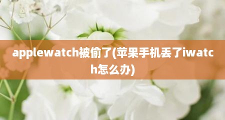 applewatch被偷了(苹果手机丢了iwatch怎么办)