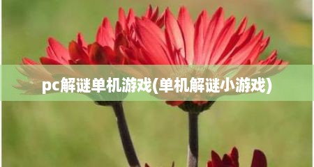 pc解谜单机游戏(单机解谜小游戏)