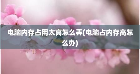 电脑内存占用太高怎么弄(电脑占内存高怎么办)