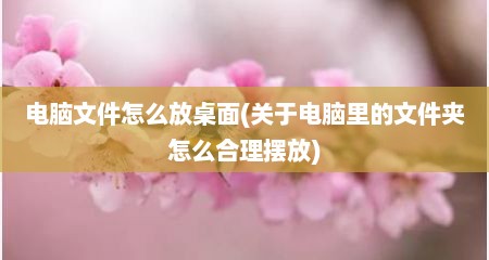 电脑文件怎么放桌面(关于电脑里的文件夹怎么合理摆放)