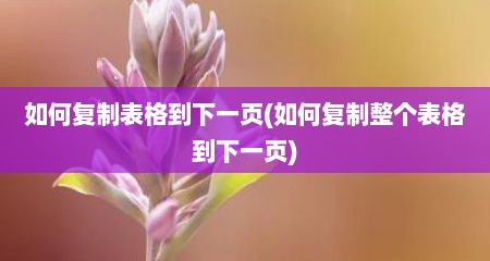 如何复制表格到下一页(如何复制整个表格到下一页)