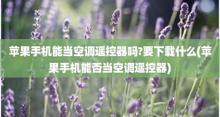 苹果手机能当空调遥控器吗?要下载什么(苹果手机能否当空调遥控器)