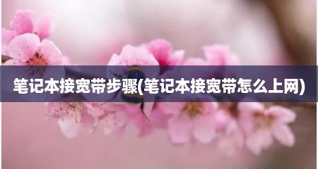 笔记本接宽带步骤(笔记本接宽带怎么上网)