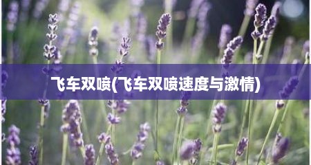 飞车双喷(飞车双喷速度与激情)