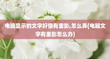 电脑显示的文字好像有重影,怎么弄(电脑文字有重影怎么办)