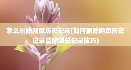 怎么删除网页历史记录(茹何删除网页历史记录清除浏览记录技巧)