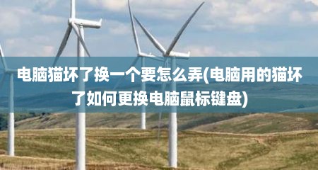 电脑猫坏了换一个要怎么弄(电脑用的猫坏了如何更换电脑鼠标键盘)
