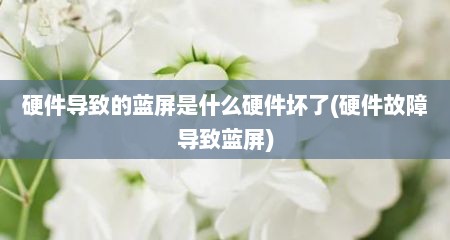 硬件导致的蓝屏是什么硬件坏了(硬件故障导致蓝屏)