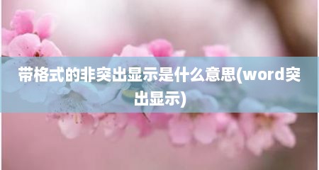 带格式的非突出显示是什么意思(word突出显示)
