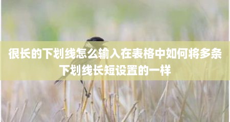 很长的下划线怎么输入在表格中如何将多条下划线长短设置的一样