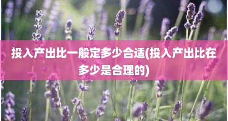 投入产出比一般定多少合适(投入产出比在多少是合理的)