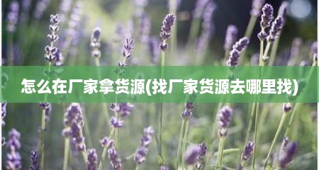 怎么在厂家拿货源(找厂家货源去哪里找)