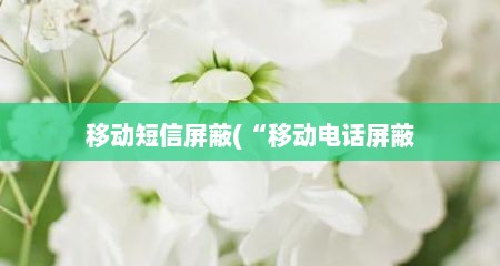 移动短信屏蔽(“移动电话屏蔽