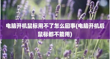 电脑开机鼠标用不了怎么回事(电脑开机后鼠标都不能用)