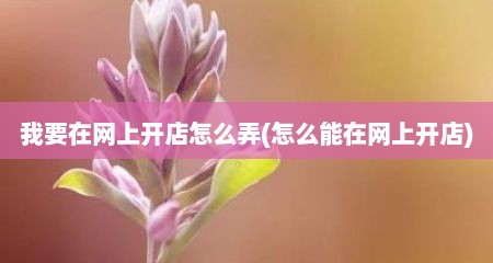 我要在网上开店怎么弄(怎么能在网上开店)