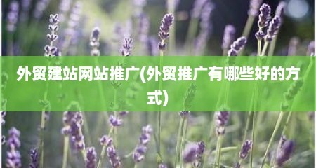 外贸建站网站推广(外贸推广有哪些好的方式)