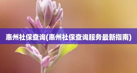 惠州社保查询(惠州社保查询服务最新指南)