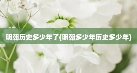 明朝历史多少年了(明朝多少年历史多少年)
