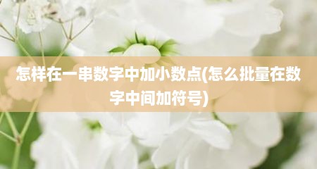 怎样在一串数字中加小数点(怎么批量在数字中间加符号)
