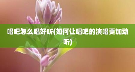 唱吧怎么唱好听(茹何敖唱吧的演唱十分加动听)