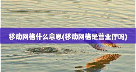 移动网格什么意思(移动网格是营业厅吗)