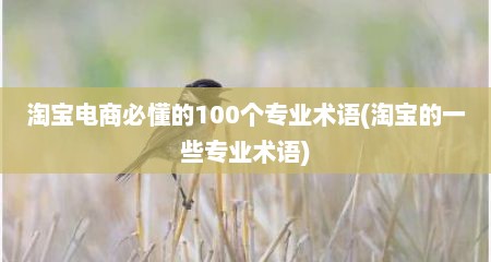 淘宝电商必懂的100个专业术语(淘宝的一些专业术语)