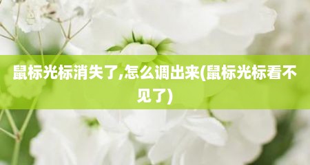 鼠标光标消失了,怎么调出来(鼠标光标看不见了)