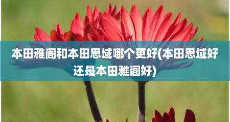 本田雅阁和本田思域哪个更好(本田思域好还是本田雅阁好)