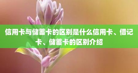 信用卡与储蓄卡的区别是什么信用卡、借记卡、储蓄卡的区别介绍