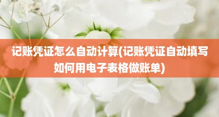 记账凭证怎么自动计算(记账凭证自动填写如何用电子表格做账单)