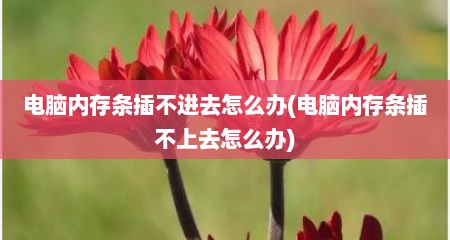 电脑内存条插不进去怎么办(电脑内存条插不上去怎么办)