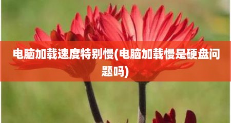 电脑加载速度特别慢(电脑加载慢是硬盘问题吗)