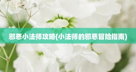 邪恶小法师攻略(小法师的邪恶冒险指南)