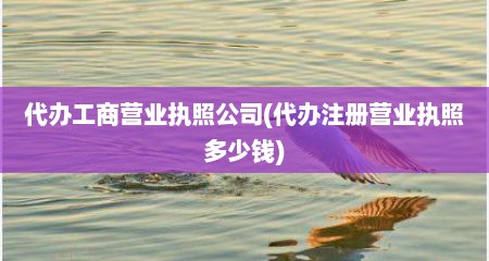 代办工商营业执照公司(代办注册营业执照多少钱)