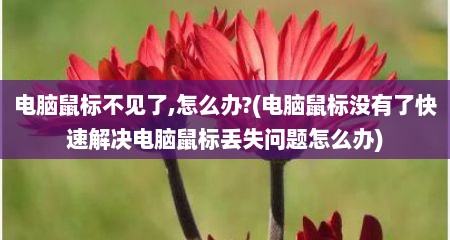 电脑鼠标不见了,怎么办?(电脑鼠标没有了快速解决电脑鼠标丢失问题怎么办)