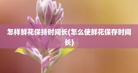 怎样鲜花保持时间长(怎么使鲜花保存时间长)