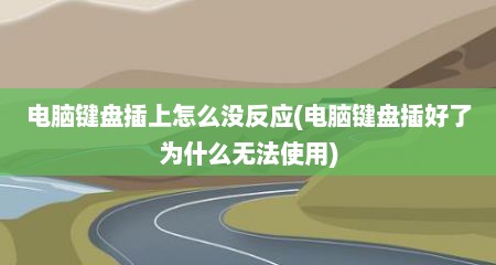 电脑键盘插上怎么没反应(电脑键盘插好了为什么无法使用)