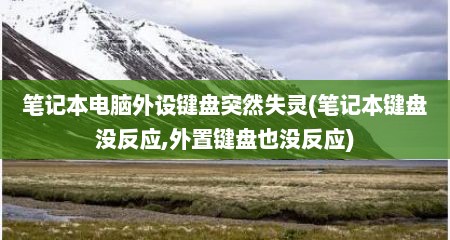 笔记本电脑外设键盘突然失灵(笔记本键盘没反应,外置键盘也没反应)
